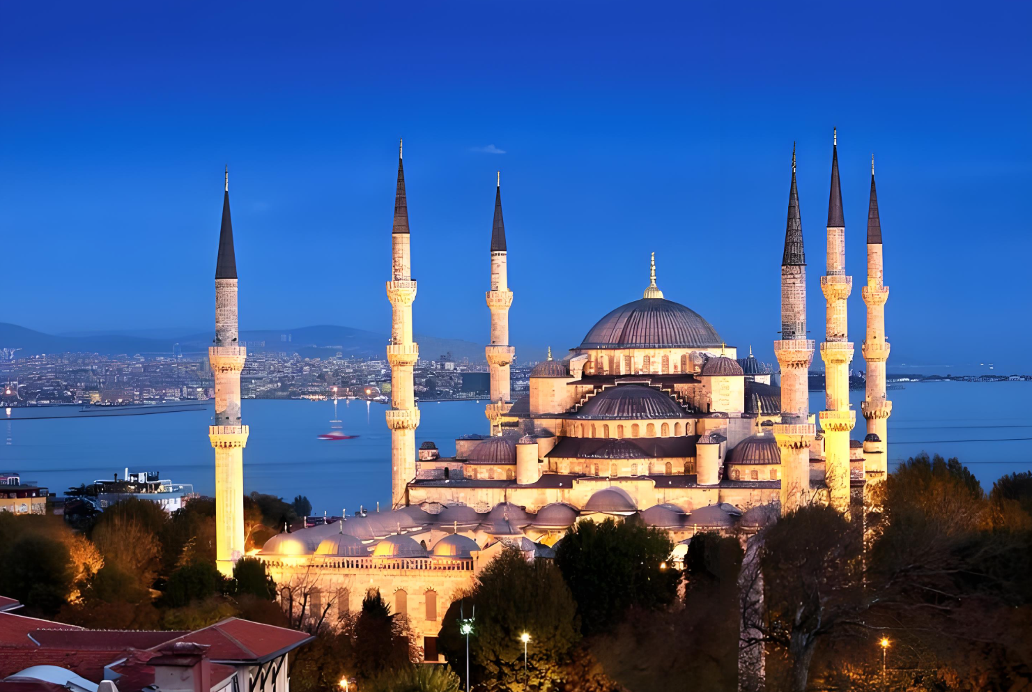 1-day tour in Istanbul, Türkiye