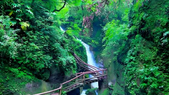 From Chengdu: 1-day tour to Qingcheng Mountain and Tai'an Ancient Town (Wandering in Qingcheng, a Quiet Place)