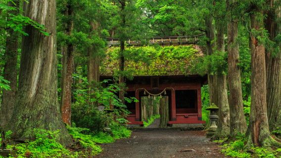 Alpik Nagano Togakushi Okushima Togakushi Line one-way bus One-way round-trip Ticket