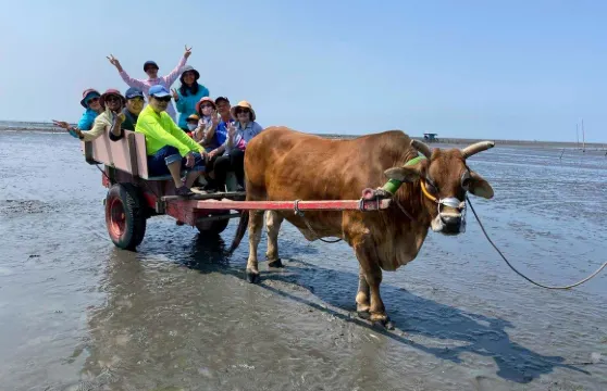 台中彰化｜芳苑海牛 &八卦山風景區 &玻璃博物館一日遊
