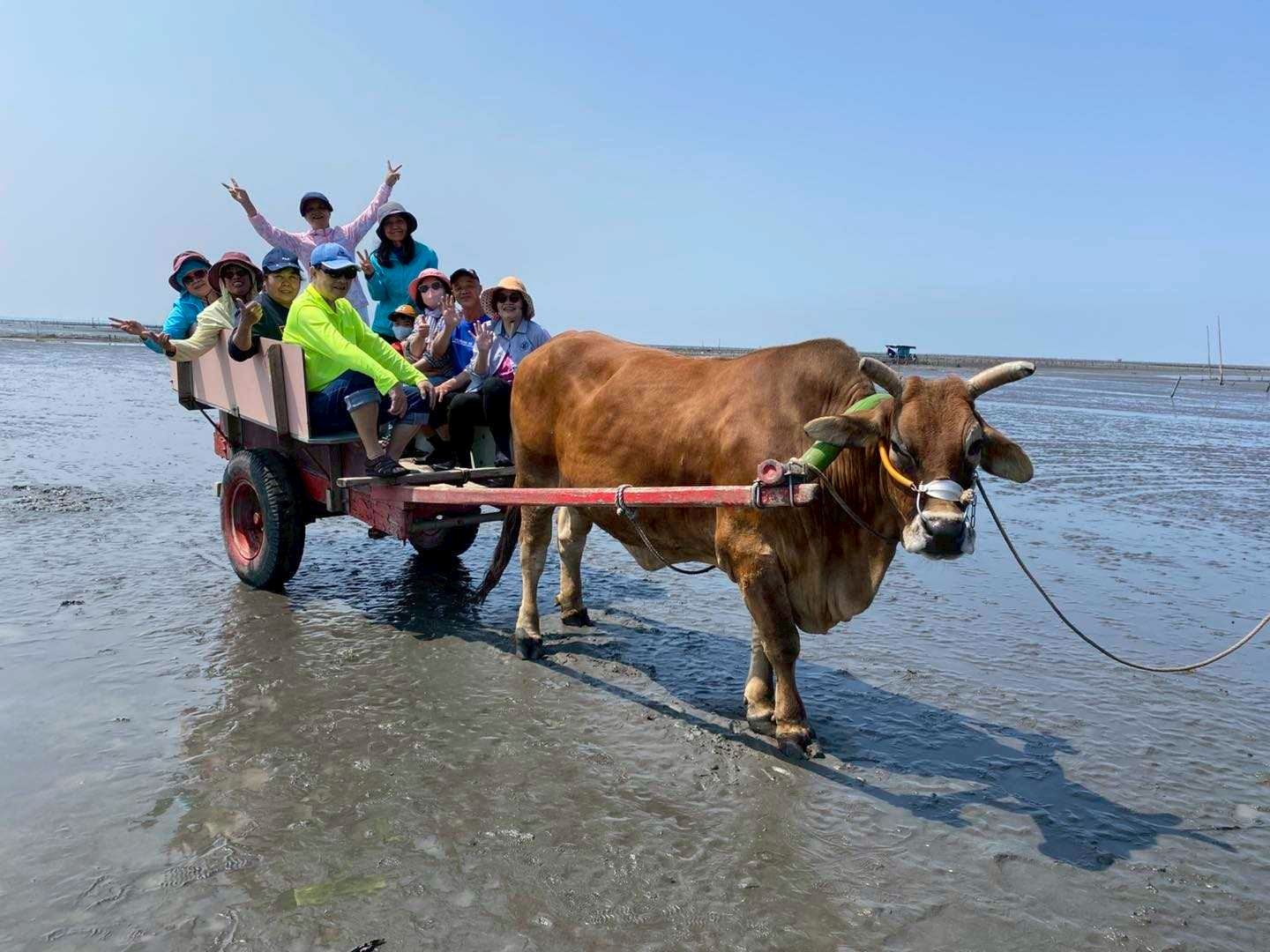 台中彰化｜芳苑海牛 &八卦山風景區 &玻璃博物館一日遊