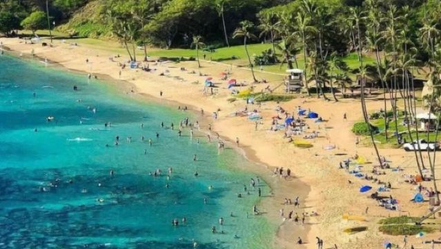 Lawatan Sehari di Ladang Kualoa Hawaii + Pusat Kebudayaan Polinesia + Pantai Penyu + Ladang Nanas
