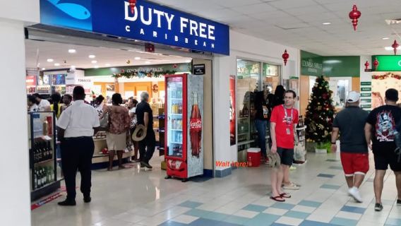 Grenada: cascate meravigliose, forti storici e spiagge rilassanti