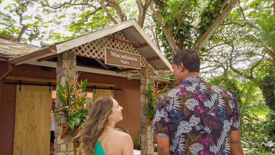 Honolulu: Tur Berpemandu Sehari Penuh Pulau Oahu dengan Bus dan Makan Siang