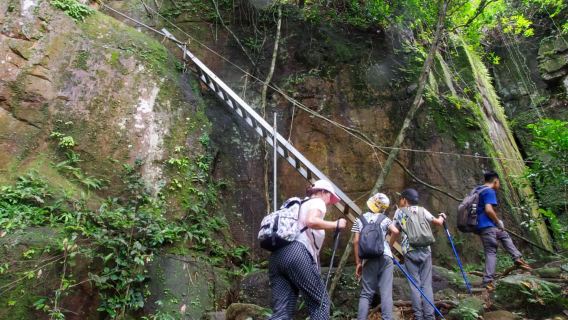 Phu Quoc: Tien Son Dinh 6-Hour Jungle Trekking Adventure