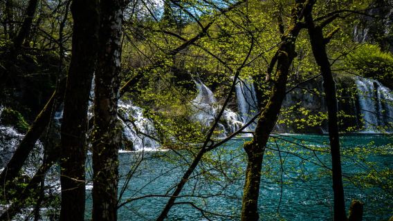 Da Zagabria: tour di un giorno intero al Parco Nazionale dei Laghi di Plitvice