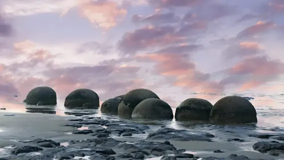 Dunedin, Nuova Zelanda - Gita di un giorno a Oamaru [Moeraki Boulders/Pinguini che tornano a casa]
