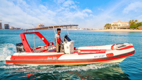 Dubai: Lawatan Bot Bunga Api Berkongsi Malam Tahun Baru