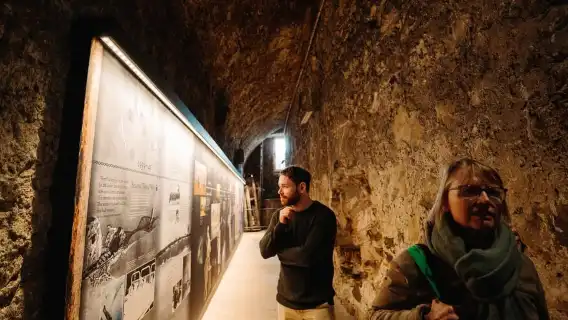 Edinburgh Castle: VIP Early Access & Royal Mile & Holyrood