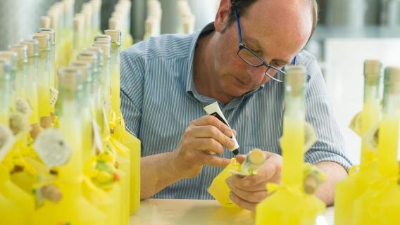 Amalfi: Visita a una granja de limones vertical, degustaciones y museo rural