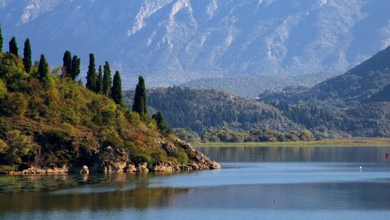 Từ Petrovac hoặc Budva: Du thuyền trên Hồ Skadar kèm Bữa trưa
