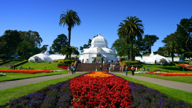 舊金山一日遊：金門公園+藝術宮+雙峰+舊金山動物園