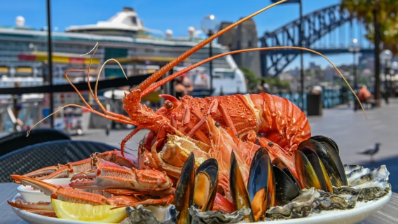 Expérience culinaire au Searock Bar and Grill (repas pour 2 personnes avec fruits de mer ou côtes levées, avec vue imprenable sur le port de Sydney)