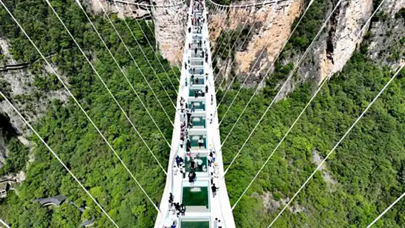 8인 소규모 그룹*장자제 톈먼산+대협곡 유리다리 당일 치기 여행 (유리다리+유리 데크)