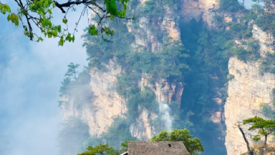 Tour di un giorno a Zhangjiajie, Hunan - gruppo indipendente con visita guidata in inglese, opzioni in russo/spagnolo/giapponese/thailandese