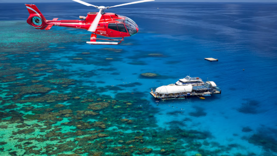 Cairns Moore Reef Great Barrier Reef 1-day tour [Urgent booking available for Sunlover/Reef Magic/Great Adventures]|Optional single/double reef