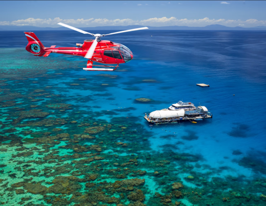 ケアンズ発 ムーア・リーフ・グレートバリアリーフ ワンデーツアー【急な予約にも対応 サンラバー/ドリームリーフ/グレートアドベンチャー号から選択可能】|単礁・双礁を選択可能