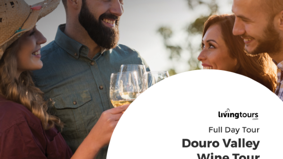 Douro Valley Wine Tour