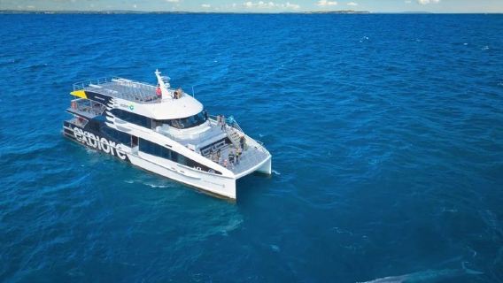 新西蘭·奧克蘭鯨魚海豚發現之旅+鳥島+黑沙灘大自然探索一日遊