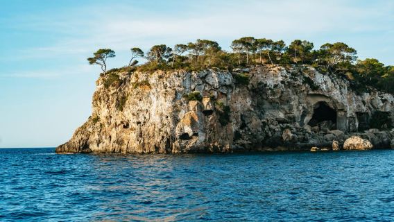 Mallorca: Midday or Sunset Sailing with Snacks and Open Bar