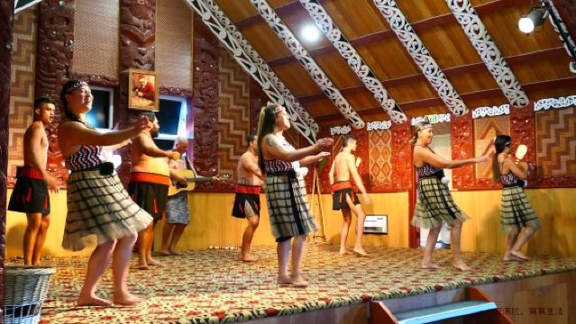 テ・プイア - ロトルア、ニュージーランド＋ポフツ間欠泉＋ワイトモ・グローム・ケイブス【行程調整可能】