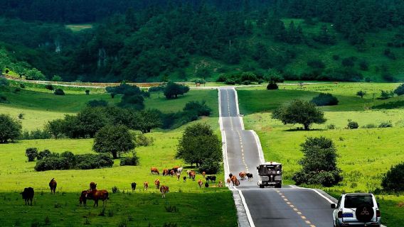 Chongqing Three Natural Bridges + Fairy Mountain English Guide Group Day Tour