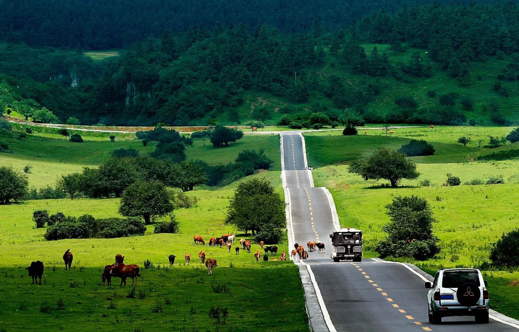 Tour giornaliero in grande gruppo con guida in inglese al Ponte Naturale dei Tre Archi di Wulong e alla Montagna delle Fate a Chongqing