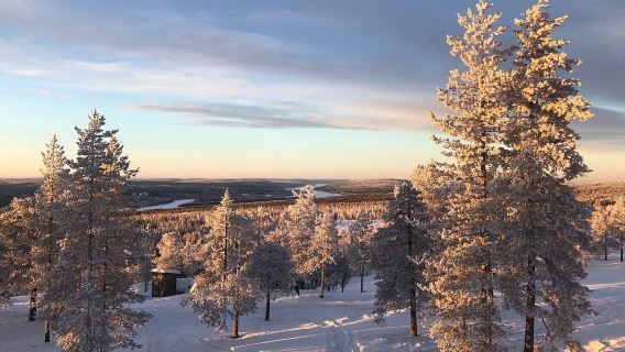 Rovaniemi|Visita allo Zoo di Ranua + Pranzo a Buffet