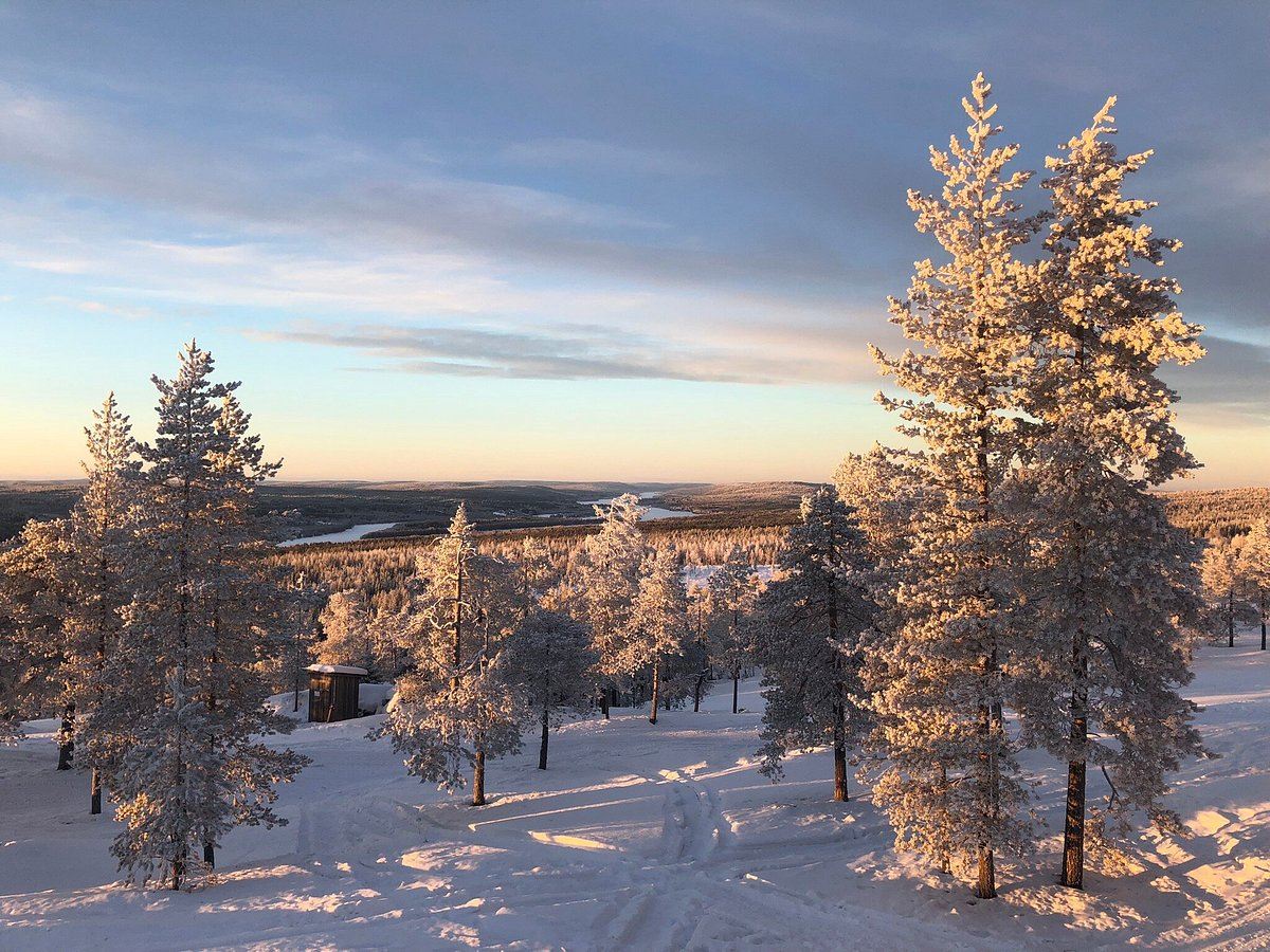 Rovaniemi|Visita allo Zoo di Ranua + Pranzo a Buffet