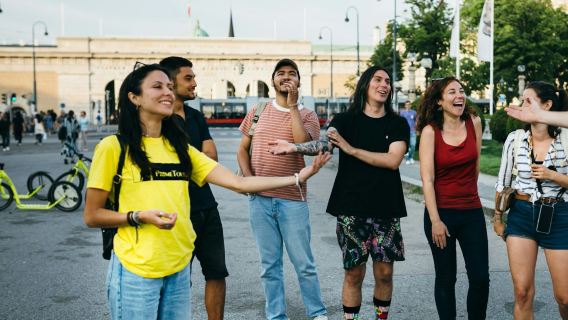 Vienna: visita guidata privata