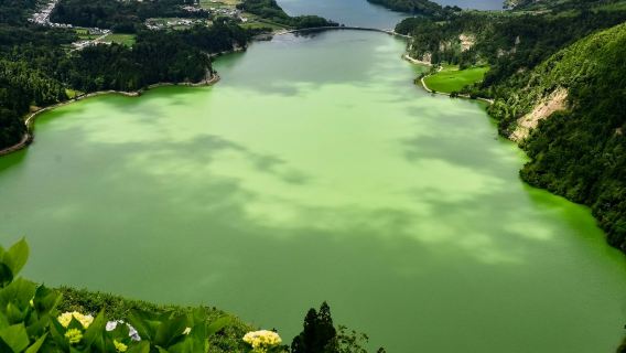 Île de São Miguel : visite guidée d'une journée complète de Sete Cidades + transferts