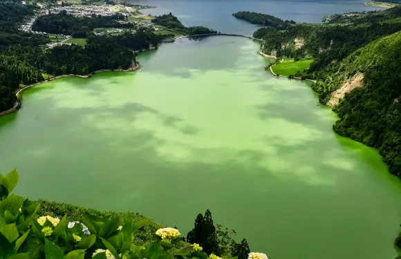 聖米格爾島：七城鎮全日導覽團 + 接送