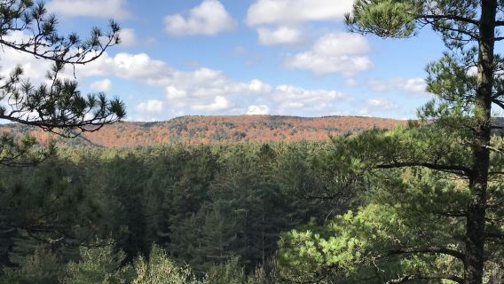 Islas Kuriles + Acantilados de Scarborough