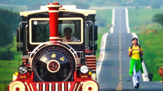 【少人数/プライベートツアー】重慶武隆天生三橋+仙女山+烏江画廊ワンデーツアー