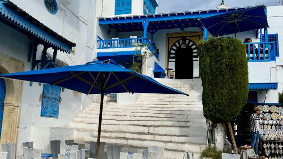 突尼斯首都【專屬包車一日遊】藍色小鎮+迦太基遺址之旅