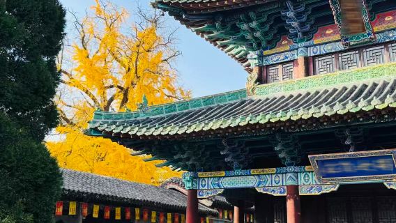 少林寺一日遊【15人精品小團*資深導遊講解+接送+漢服換裝】