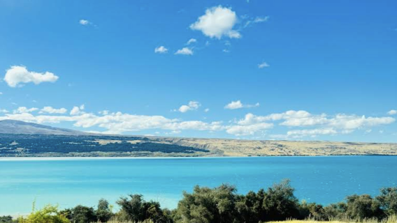 紐西蘭基督城-瓦納卡-薰衣草農場可定制【中文專車-愜意舒適】