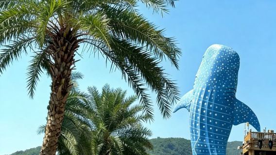 珠海長隆海洋王國# ② 天 1 晚/③ 天 2 晚 企鵝/飛船/馬戲/橫琴灣/迎海酒可選長隆秀/卡卡虎 親子度假組合