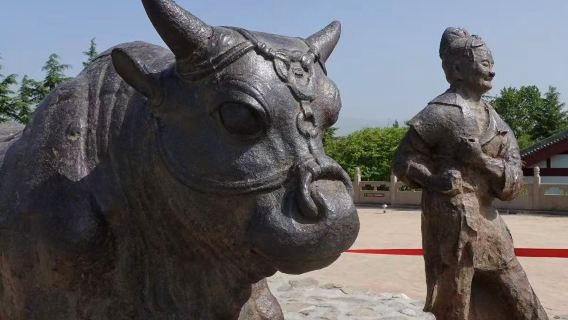 Private chartered tour to Pujiu Temple + Guanque Tower + Great Iron Ox + Feiyun Tower + Houtu Temple + Jiwang Temple
