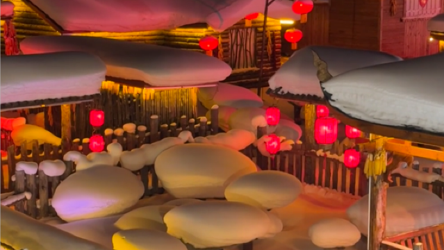 中國雪鄉｜專業導遊｜景區導覽｜展會翻譯｜英語 法語 西語 日語 韓語 俄語 德語 外賓接待一對一私家定制