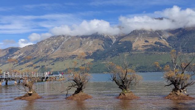 New Zealand | Queenstown & Glenorchy + Paradise | Lawatan Sehari Sewaan Peribadi Bahasa Cina [Itinerari Boleh Disesuaikan]