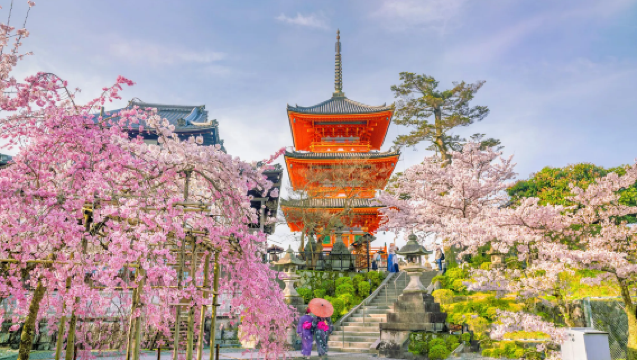 日本全境 東京京都包車1日遊【東京/京都/大阪/旅遊在地陪同-專業導遊-學校景區導覽-商務/展會翻譯-醫療翻譯】