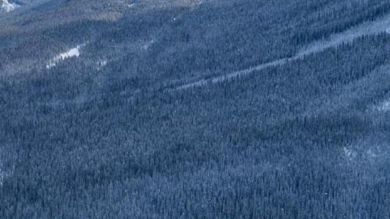 Layanan antar-jemput pulang pergi antara Kota Banff, Kanmore, Danau Moraine, dan Danau Louise 166360