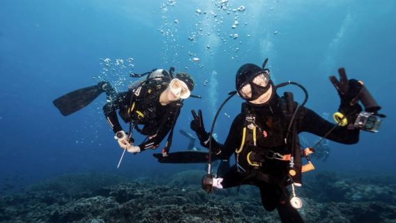 Bali, Indonesia - JUKUNG DIVE RESORT PENIDA certified scuba diving 7-hour experience [3 dives + equipment + dive guide + lunch]