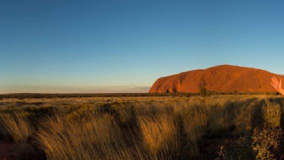 From Alice Springs: Day Trip to Uluru with BBQ Dinner
