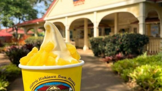 Dole Plantation, Kō Hana Distillers & Mauka Warriors Luau: Wycieczka z przewodnikiem + kolacja