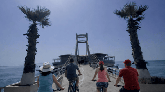 ドゥラス バイクツアー：ビーチ、都市、円形劇場を巡るサイクリング