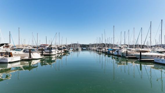 San Francisco: Muir Woods and Sausalito Small-Group Tour