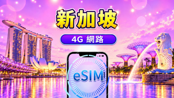 新加坡 4G eSIM｜支援 Google 地圖 / Chat GPT｜每日型／總量型流量方案｜24 小時計費制｜1–30 天｜QR code