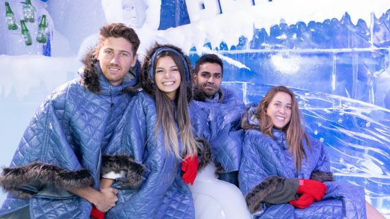 Берлинский ледовый бар и круглосуточный автобус с возможностью высадки и посадки на любой остановке.